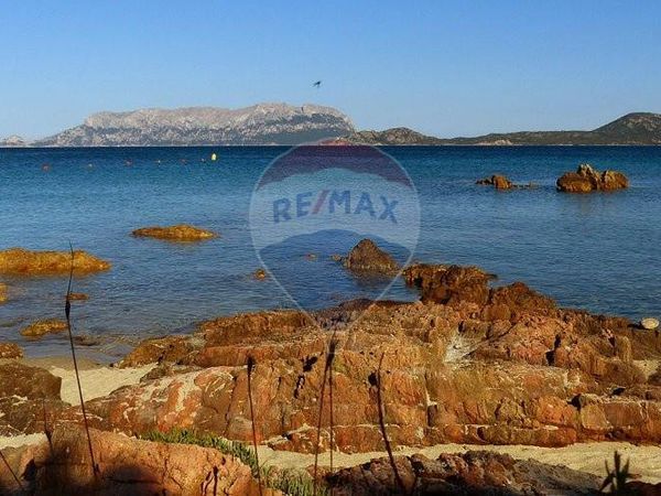 Nuove costruzioni Olbia, SS Vendita