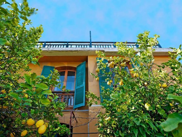 Casa Semindipendente Spotorno, SV Vendita - Foto 3