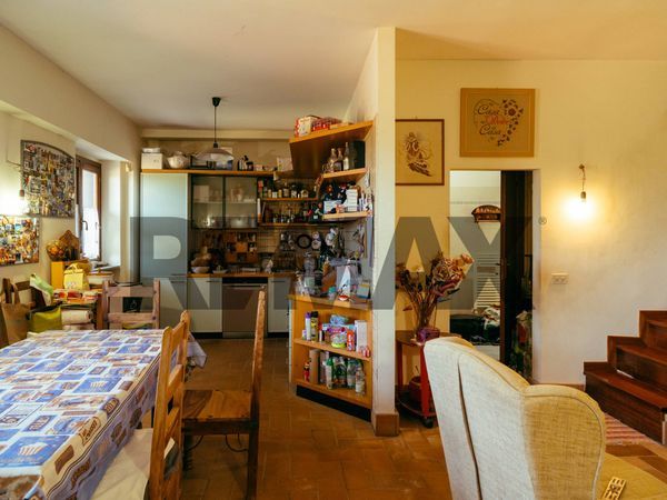 Porzione di villa Marino, RM Vendita - Foto 4