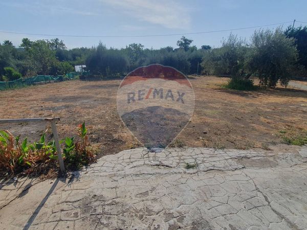 Residence Santa Maria di Licodia, CT Vendita - Foto 3