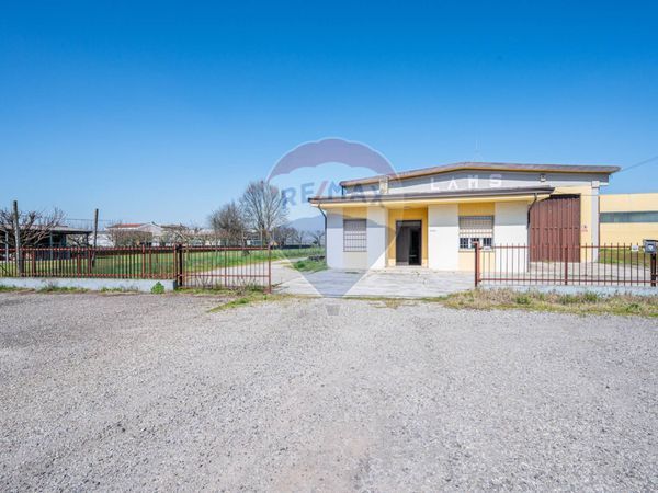 Altro Cogozzo, Viadana, MN Vendita - Foto 2