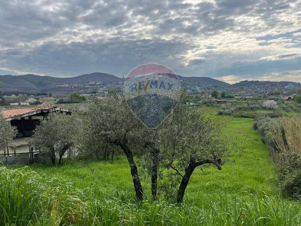 Terreno Colonna, RM Vendita - Foto 3