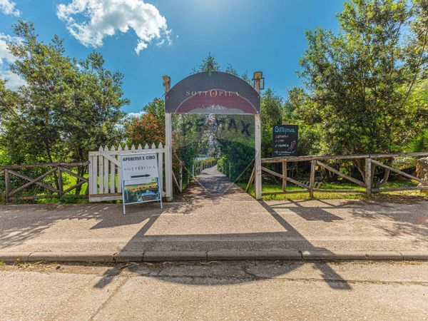 Ristorante Fertilia, Alghero, SS Vendita - Foto 2
