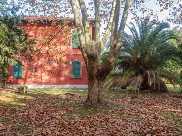 Fattoria Navacchio, Cascina, PI Vendita - Foto 4