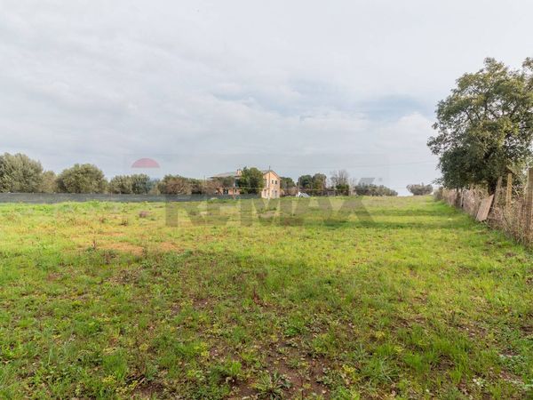 Porzione di casa Montalto di Castro, VT Vendita - Foto 4