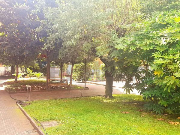 Appartamento S.Giovanni, Roma, RM Affitto - Foto 2