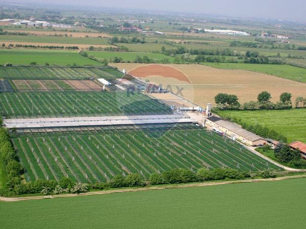 Azienda Agricola Treviglio, BG Vendita - Foto 3