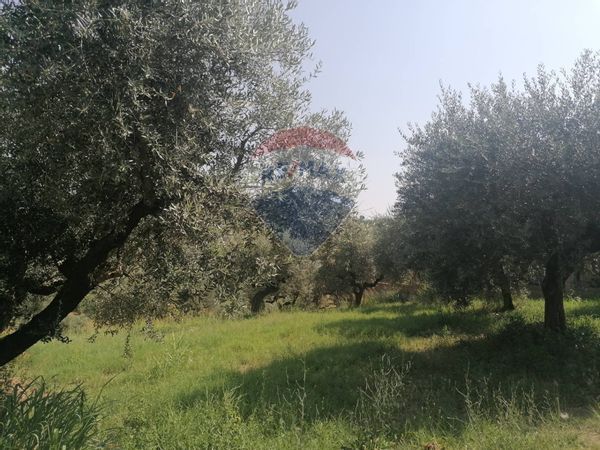 Terreno Edificabile Valleiuta, Moscufo, PE Vendita - Foto 2