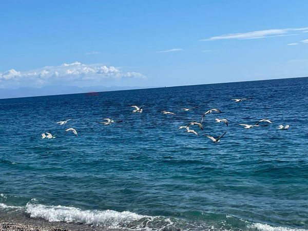 Appartamento Sant'Anna, Mascali, CT Vendita