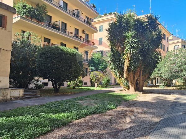 Appartamento Parioli, Roma, RM Affitto - Foto 3