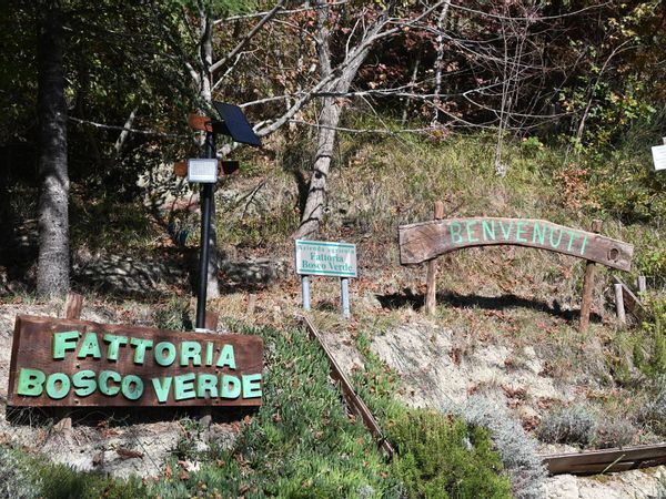 Fattoria Civitella di Romagna, FC Vendita