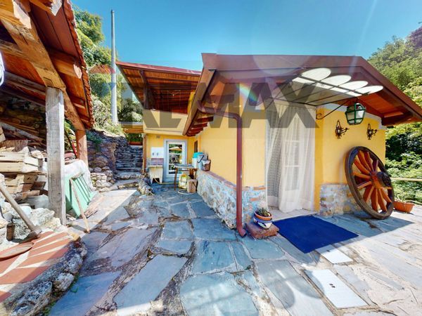 Villa singola Camaiore, LU Vendita - Foto 4