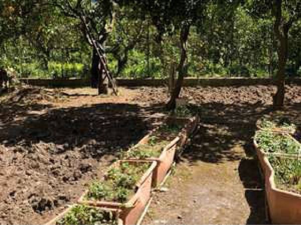 Casa Indipendente Sant'Agata di Militello, ME Vendita - Foto 4