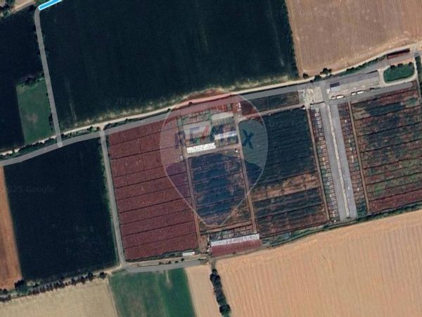 Azienda Agricola Treviglio, BG Vendita - Foto 4