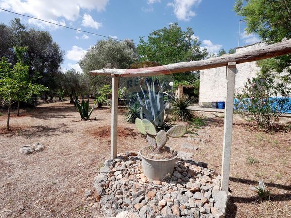 Villa singola Ostuni, BR Vendita - Foto 3