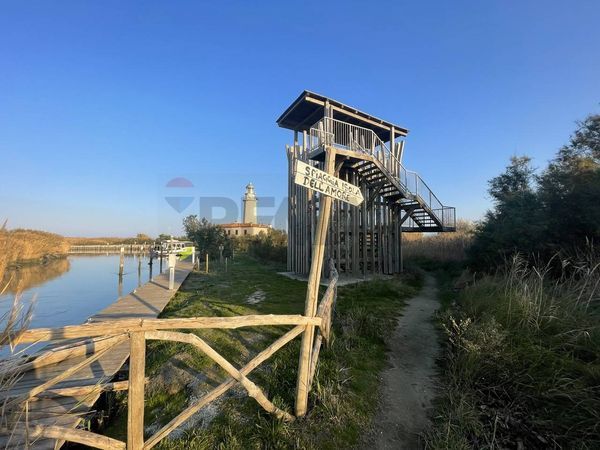 Attività  Commerciale Gorino, Goro, FE Vendita - Foto 4