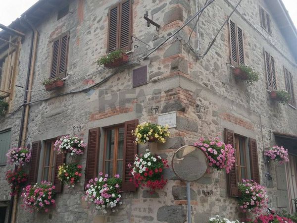 Casa Indipendente Pariana, Villa Basilica, LU Vendita