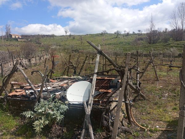 Rustico Randazzo, CT Vendita - Foto 2