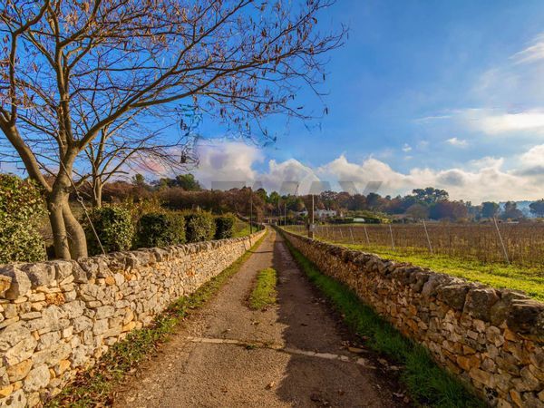Cascina/Casale Ostuni, BR Vendita - Foto 2