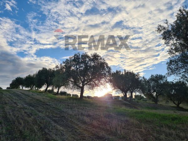 Terreno Alba Adriatica, TE Vendita - Foto 4