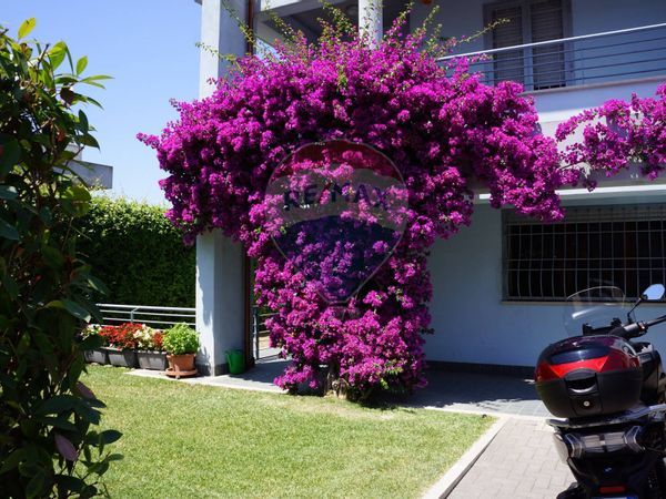 Villa a schiera Villa Claudia, Anzio, RM Vendita - Foto 2