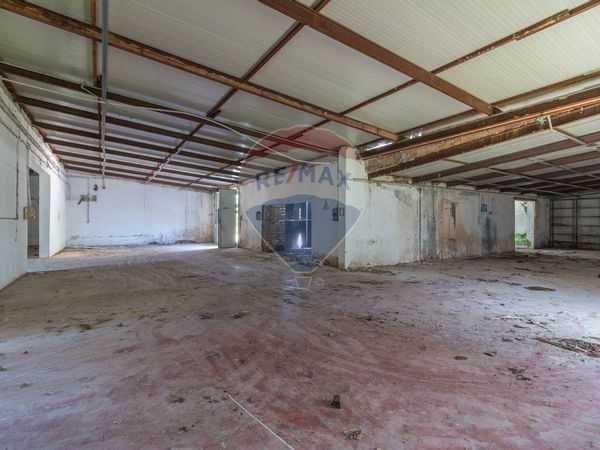 Capannone Industriale Castel Sant'Elia, VT Vendita