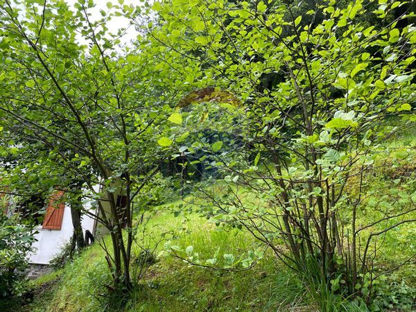 Villa o villino Borzonasca, GE Vendita - Foto 4