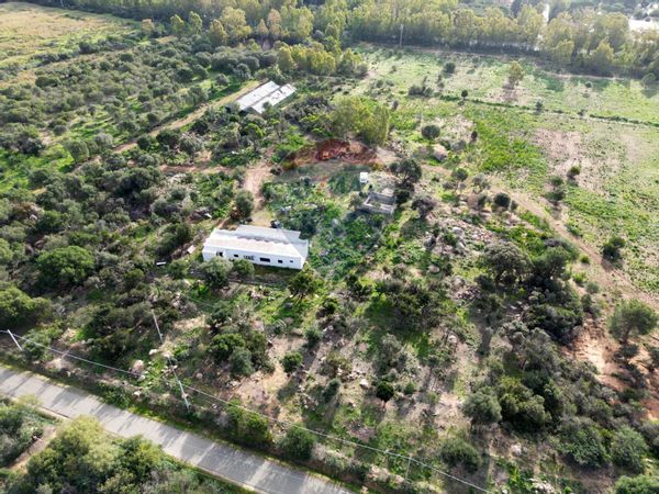 Azienda Agricola Zona Santa Margherita, Pula, CA Vendita - Foto 2