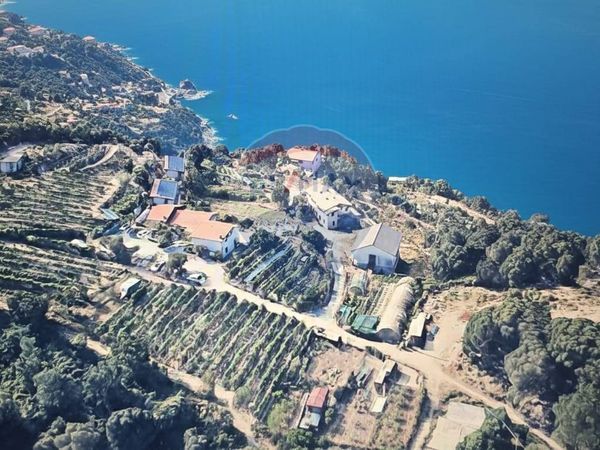 Agriturismo Framura, SP Vendita