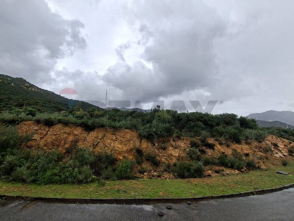 Terreno Edificabile Zona Is Molas, Pula, CA Vendita - Foto 2