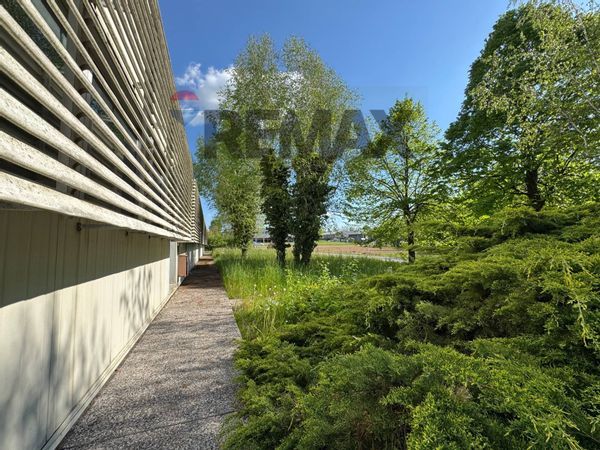 Capannone Industriale Buja, UD Vendita - Foto 4