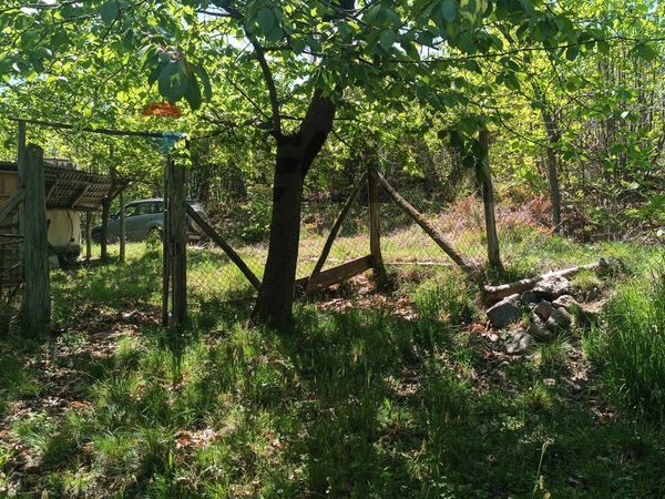 Rustico Codevilla, Mallare, SV Vendita - Foto 3