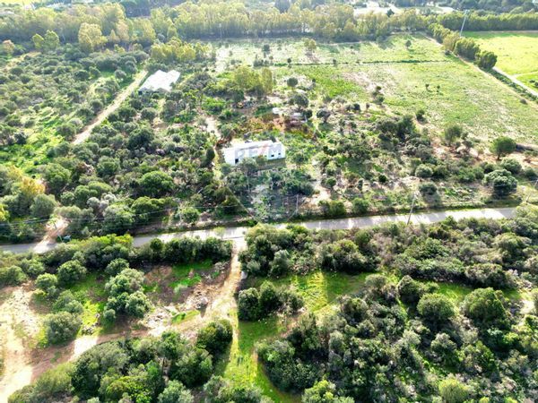 Azienda Agricola Zona Santa Margherita, Pula, CA Vendita - Foto 3