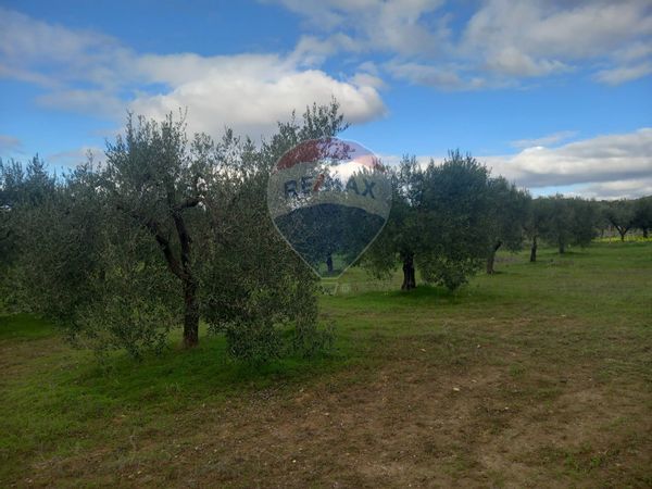 Terreno Dolianova, SU Vendita - Foto 3