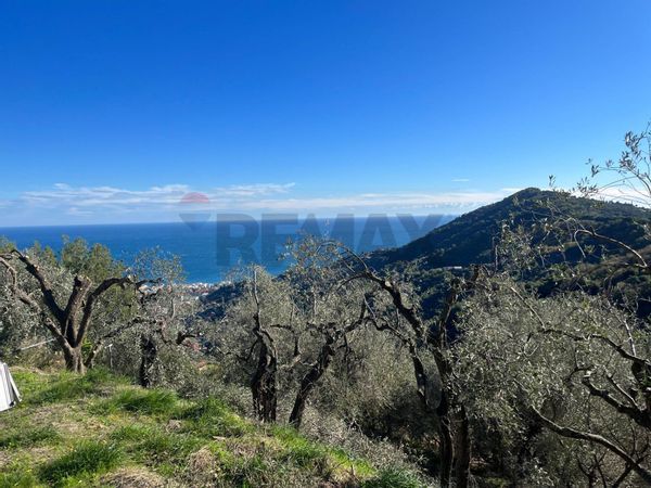 Terreno Edificabile Alassio, SV Vendita