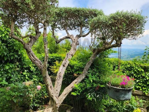 Casa Indipendente Morcone, BN Vendita - Foto 2