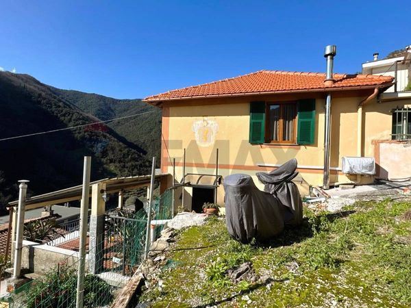 Casa Indipendente Testana, Avegno, GE Vendita