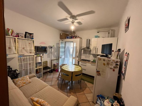 Appartamento Zona Cologno Centro, Cologno Monzese, MI Affitto - Foto 3