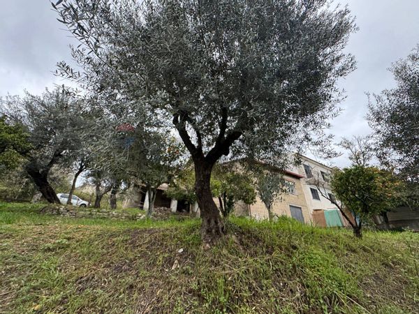 Casa Indipendente Tufo, Minturno, LT Vendita - Foto 3