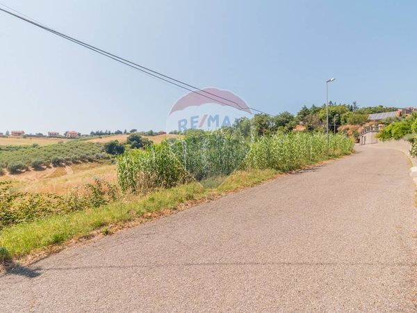 Terreno Edificabile Montefiascone, VT Vendita - Foto 3