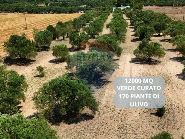 Terreno Villasor, SU Vendita