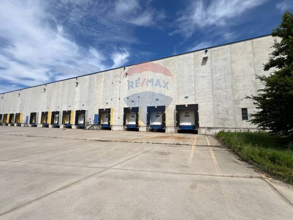 Capannone Industriale Anagni, FR Affitto - Foto 4