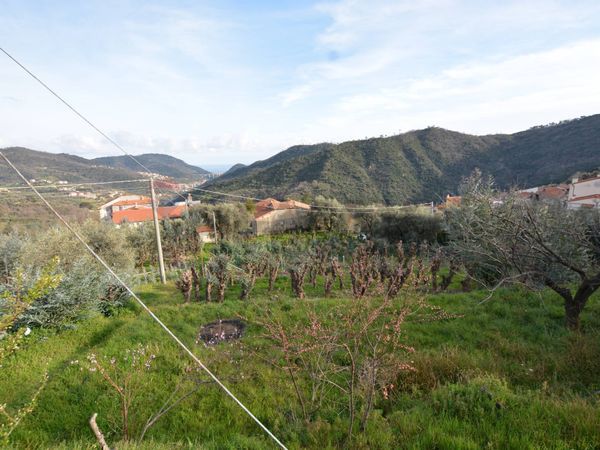 Rustico Magliolo, SV Vendita - Foto 2