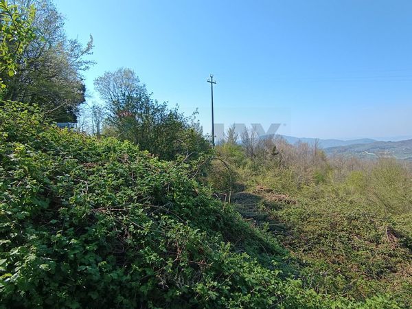 Terreno Borselli, Pelago, FI Vendita - Foto 3