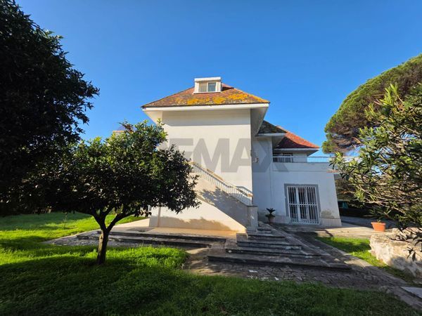 Villa singola Litorale Nord, Terracina, LT Vendita - Foto 4