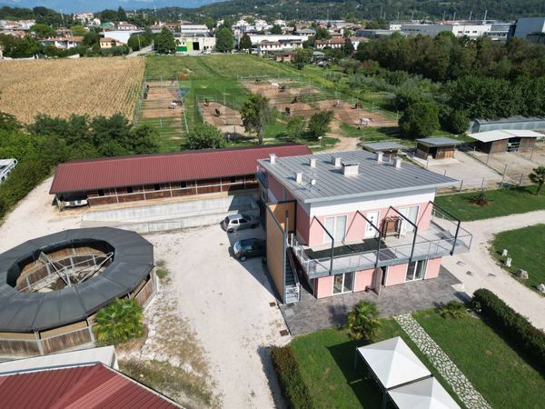 Commerciale Altro Caonada, Montebelluna, TV Vendita