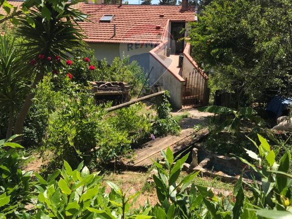 Casa Indipendente Rosignano Marittimo, LI Vendita