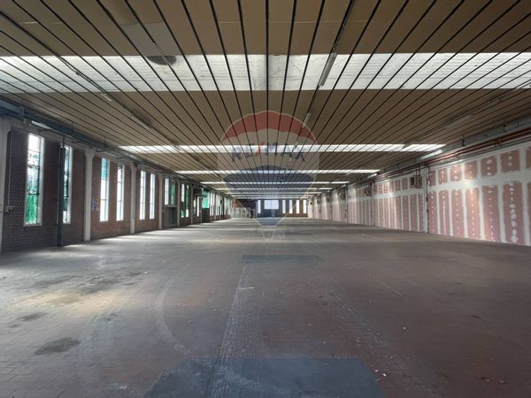 Capannone Industriale Rosciano, Fano, PU Affitto - Foto 3