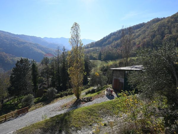 Fattoria Civitella di Romagna, FC Vendita - Foto 2
