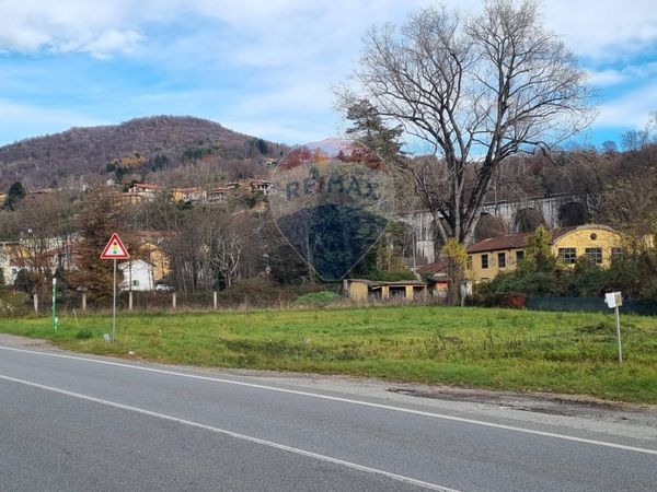 Terreno Edificabile Pettenasco, NO Vendita - Foto 3
